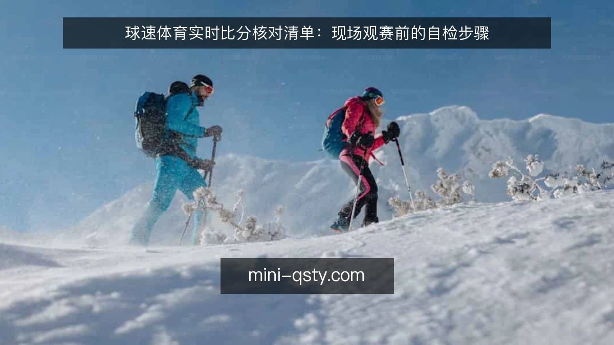 球速体育实时比分核对清单：现场观赛前的自检步骤