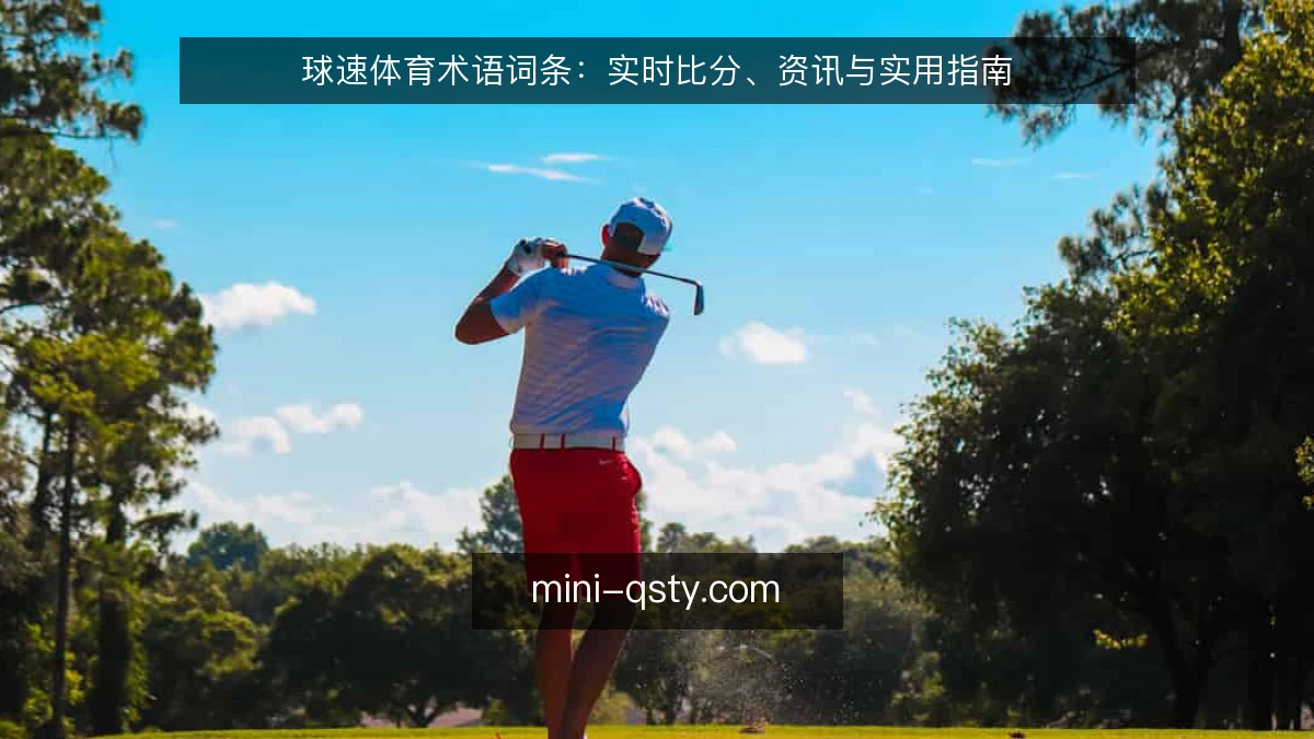 球速体育术语词条:实时比分、资讯与实用指南